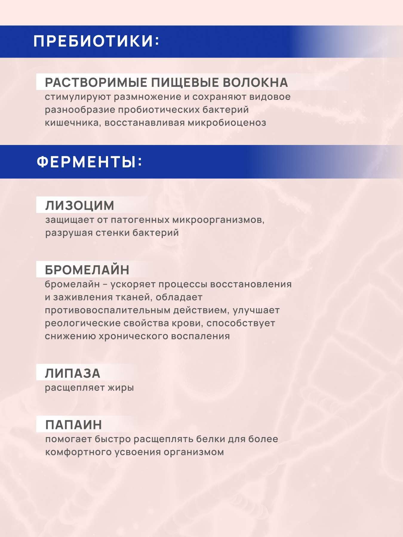 АртЛайф, Энзимобакт (протеолитические ферменты), капсулы, 60 шт.