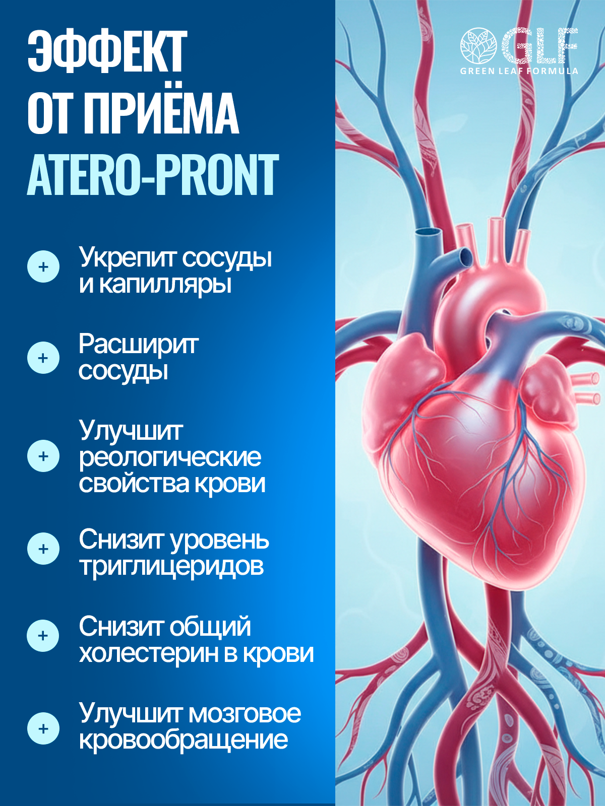 Green Leaf Formula, ATERO-PRONT (для сосудов и мозга), капсулы, 60 шт.