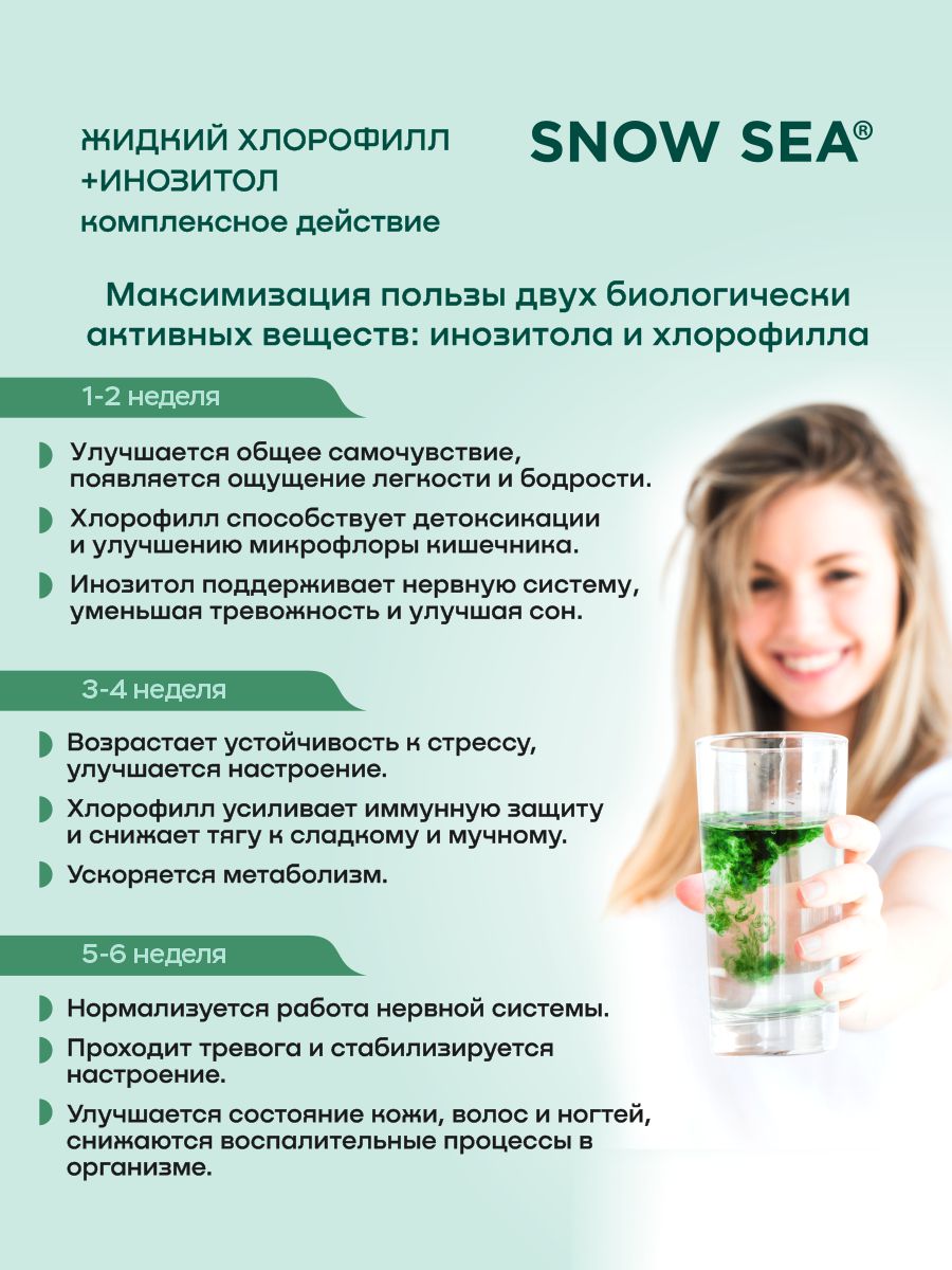 SNOW SEA®, Хлорофилл жидкий с инозитолом, со вкусом апельсина и мяты (для контроля стресса), жидкость, 450 мл