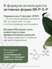 Restartbio, Магний (бисглицинат) + B6 (P-5-P), капсулы, 240 шт.