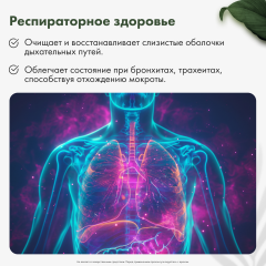 Restartbio, Клеточный сок пихты сибирской, жидкость, 30 мл