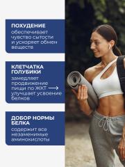 Yappi, Соевый изолят протеин с голубикой, 250 г