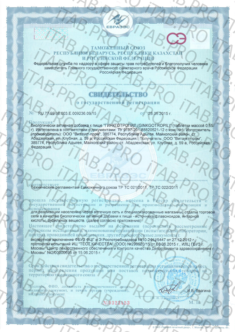 Vitauct, Гинкготропил (работа мозга), таблетки, 60 шт.