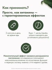 Restartbio, Ежовик гребенчатый, капсулы, 90 шт.