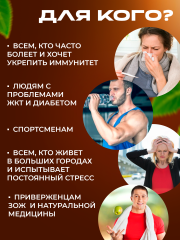 Сила феникса, Чага, капсулы, 90 шт.