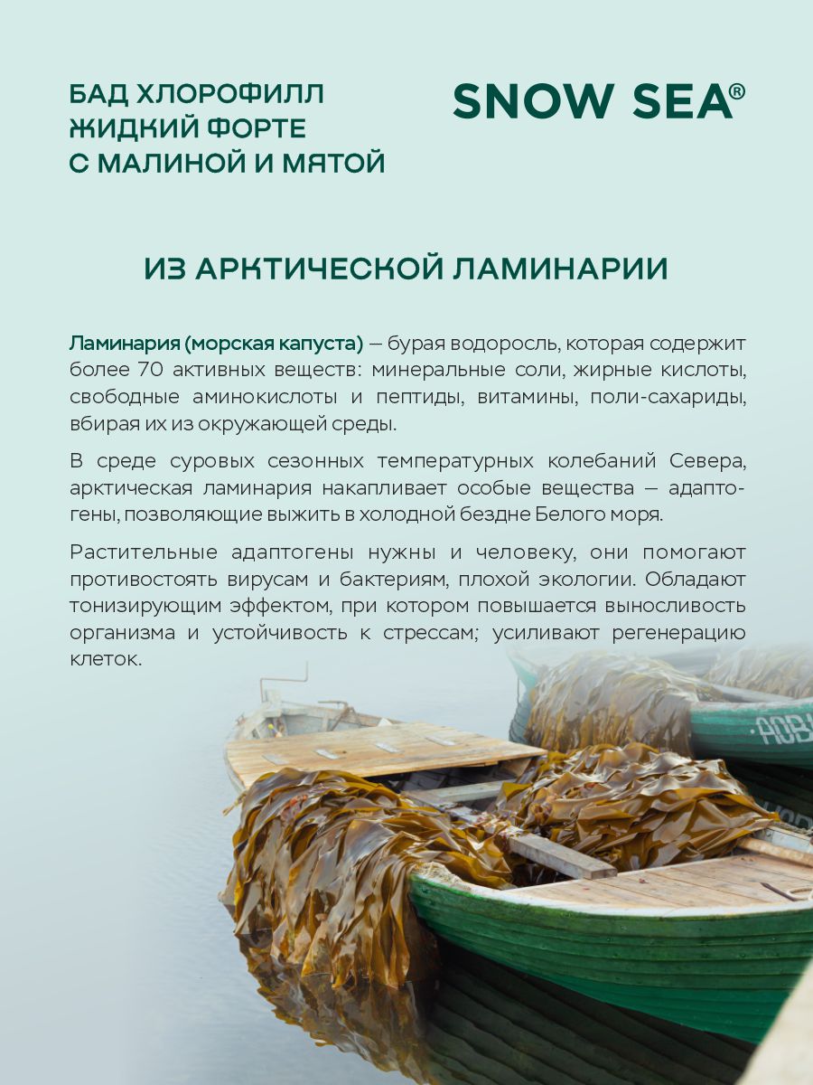 SNOW SEA®, Хлорофилл жидкий со вкусом мяты и малины (для детокса и похудения), жидкость, 450 мл