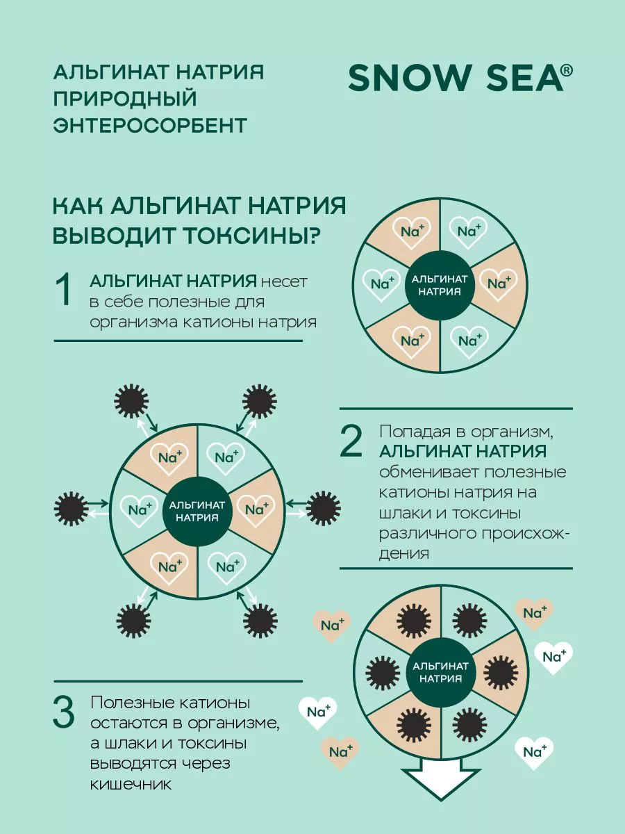 SNOW SEA, Альгинат натрия АЛЬГАДЕТОКС® (для ЖКТ и очищения организма), капсулы, 60 шт.
