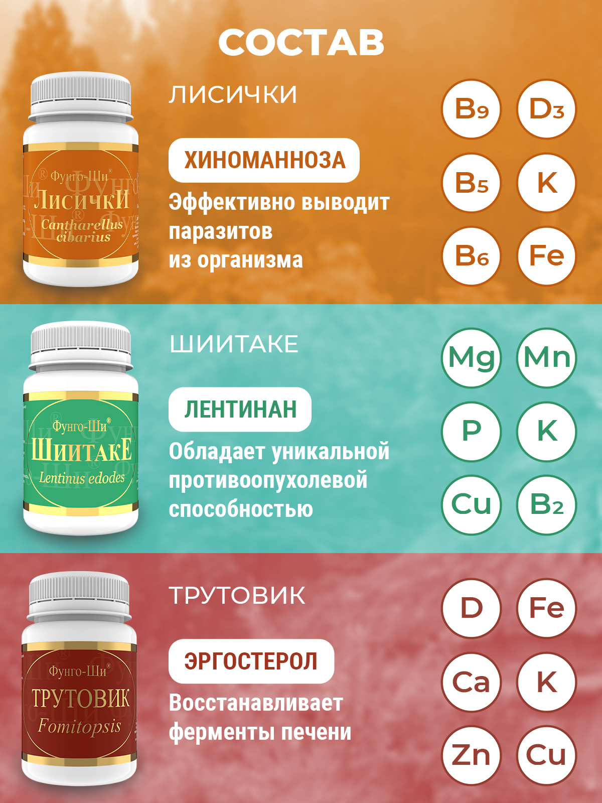 Фунго-Ши, Программа «Акура» для очищения печени, избавления от паразитов, токсинов и ядов, капсулы, 3*60 шт.