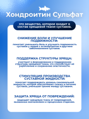 KENKO, Коллаген морской из хрящей акулы (комплекс для укрепления связок и суставов), саше, 30*2 г