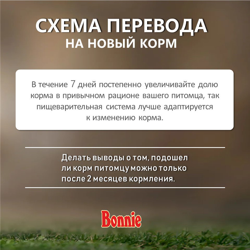 Bonnie, Сухой корм для собак мелких пород с курицей, 2500 г