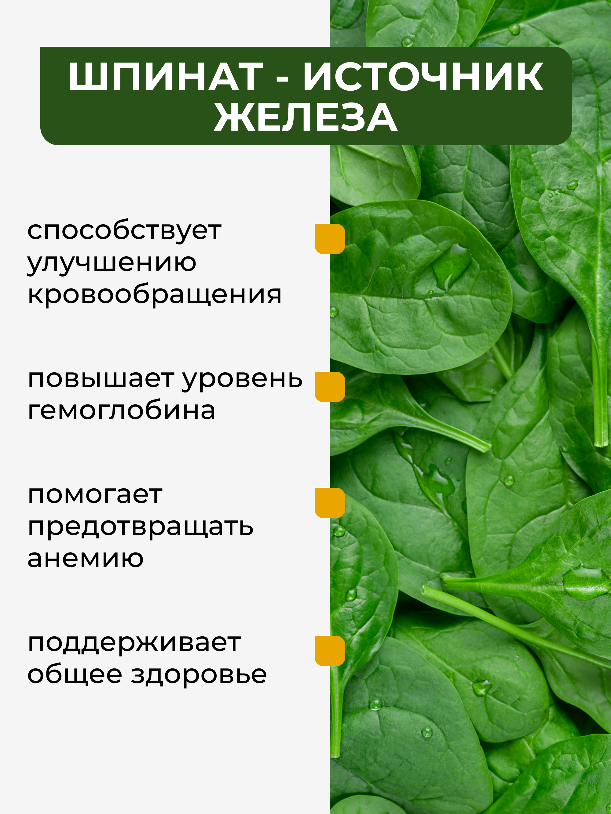Yappi, Растительный протеин со шпинатом, порошок, 300 г