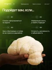 Amazonica, Lion’s Mane, Ежовик гребенчатый, порошок, 100 г