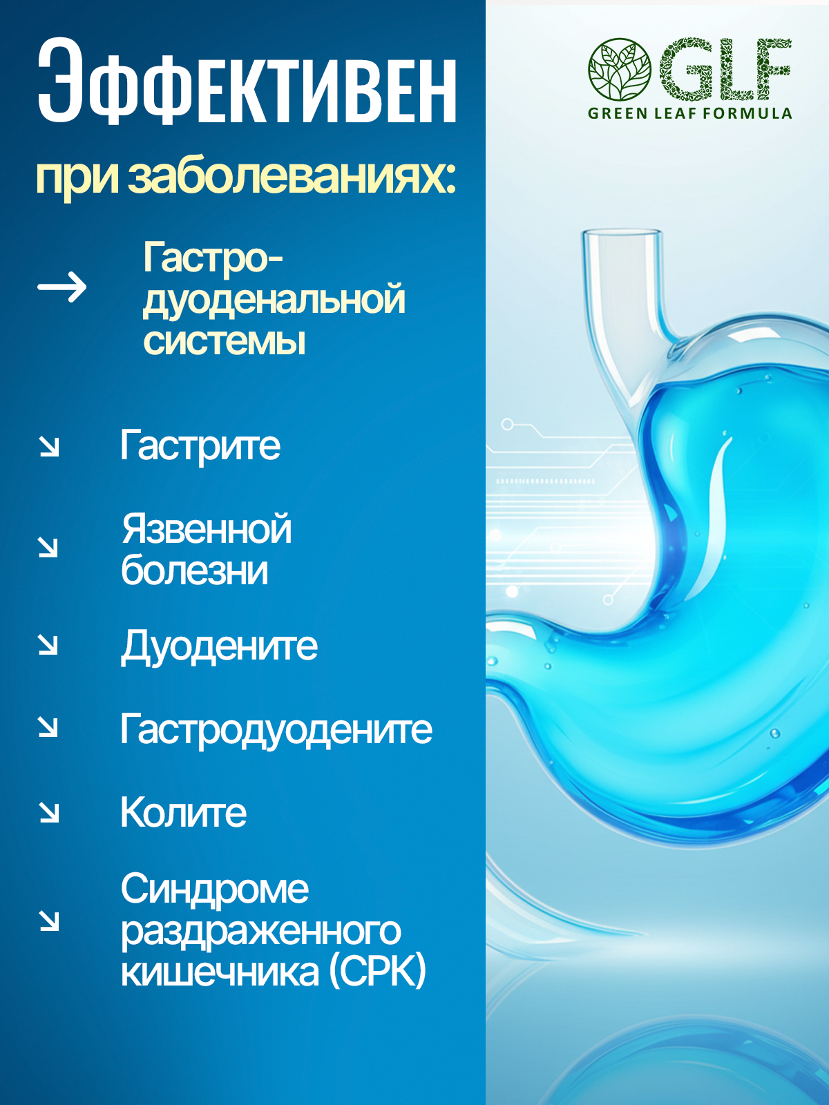 Green Leaf Formula, Метабиотик гастро с солодкой (для желудка), капсулы, 60 шт.