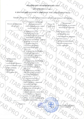 Amazonica, Muhomoring Force, Микродозинг красного мухомора с адаптогенами, капсулы, 60 шт.