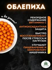 ДАРЛАЙФ, Хлорофилл с облепихой, жидкость, 500 мл