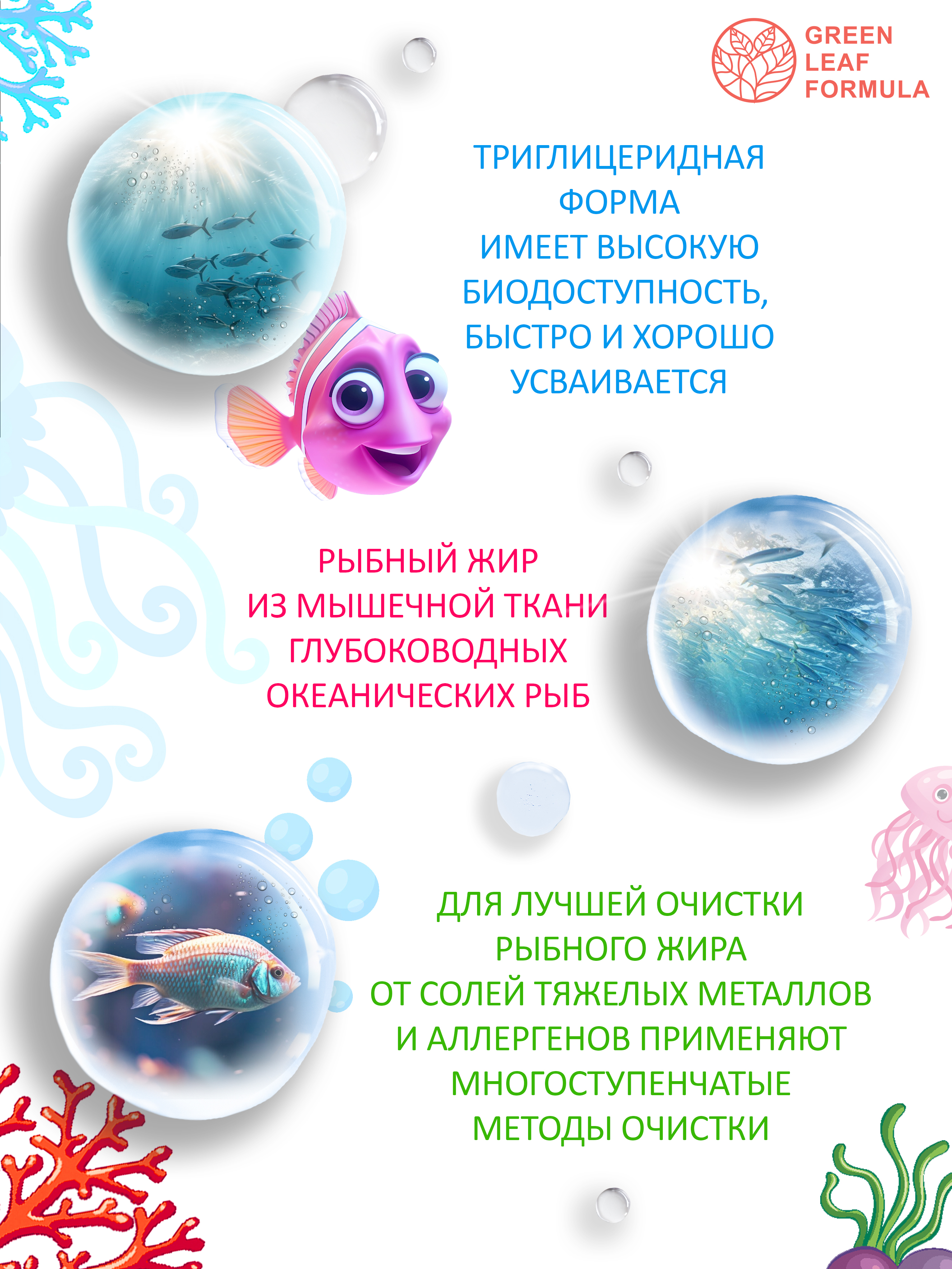 Green Leaf Formula, Рыбный жир детский, со вкусом малины, капсулы, 120 шт.
