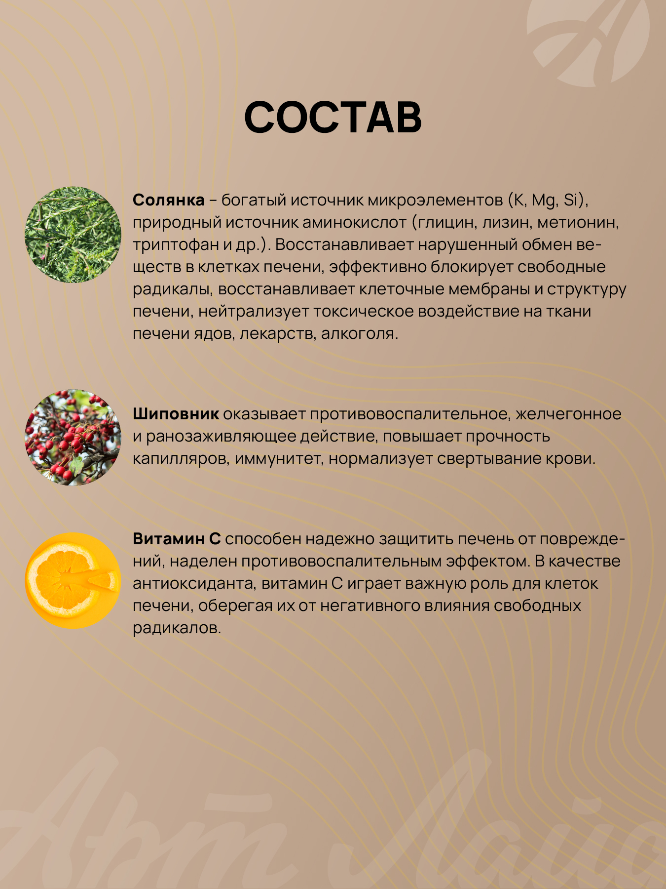 АртЛайф, Взвар «Гепатон-3» (поддержка клеток печени), жидкость, 250 мл