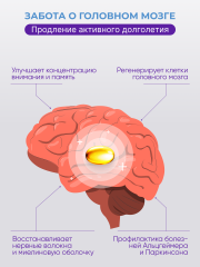 Солагифт, Bioeffectives Abieprenols 10 (для защиты печени, сердца и мозга), капсулы, 60 шт.