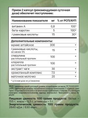 Eqville, Мумие с хлореллой и спирулиной, капсулы, 60 шт.
