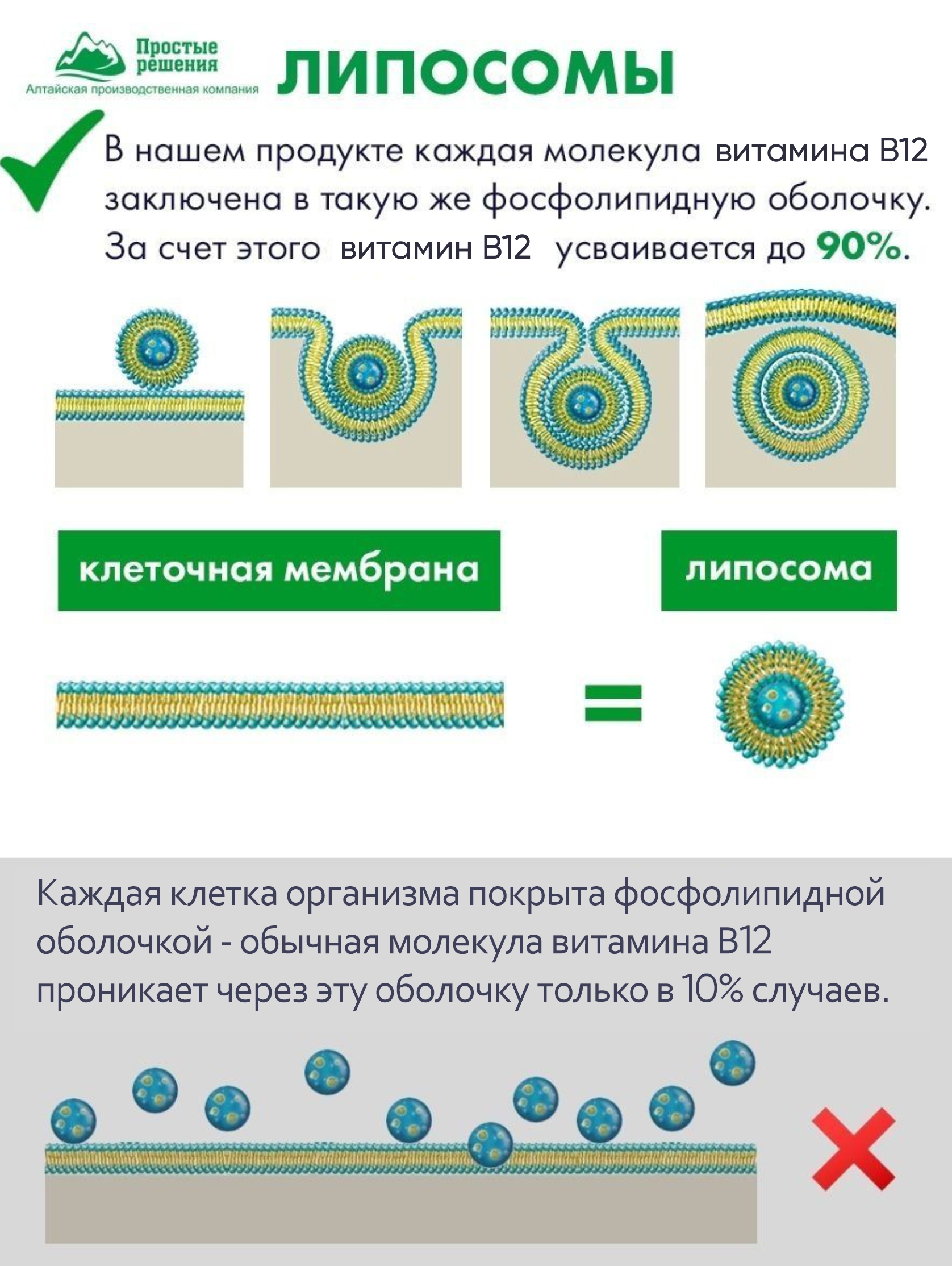 Алтай Простые решения, Липосомальный Витамин B12 (метилкобаламин), капсулы, 60 шт.
