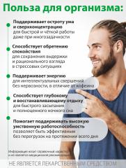Алтай Простые решения, Концентрат «Ежовик Гребенчатый», капсулы, 60 шт.