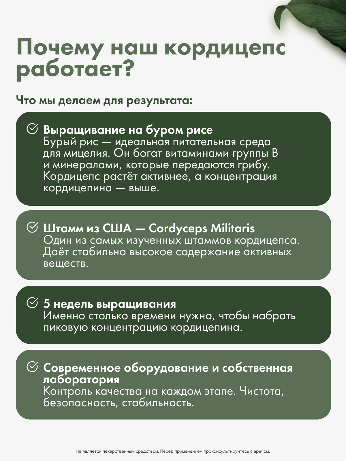 Restartbio, Кордицепс милитарис, капсулы, 90 шт.