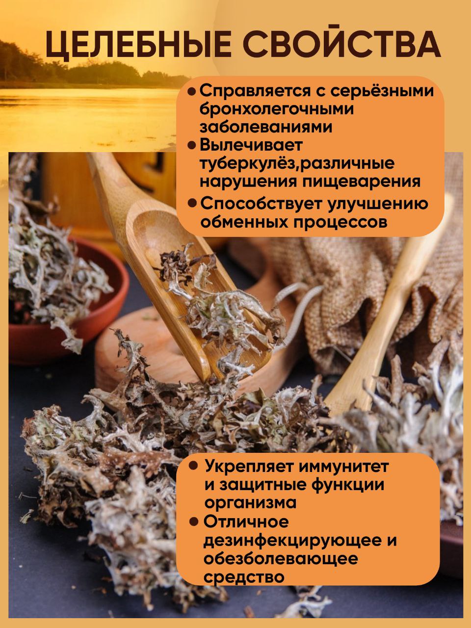 Правильные травы, Исландский мох, 20 г
