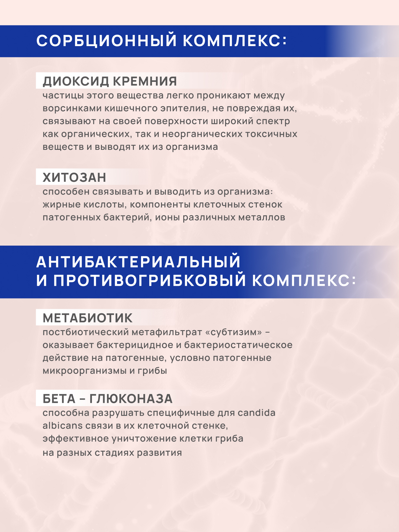 АртЛайф, Энзимобакт (протеолитические ферменты), капсулы, 60 шт.