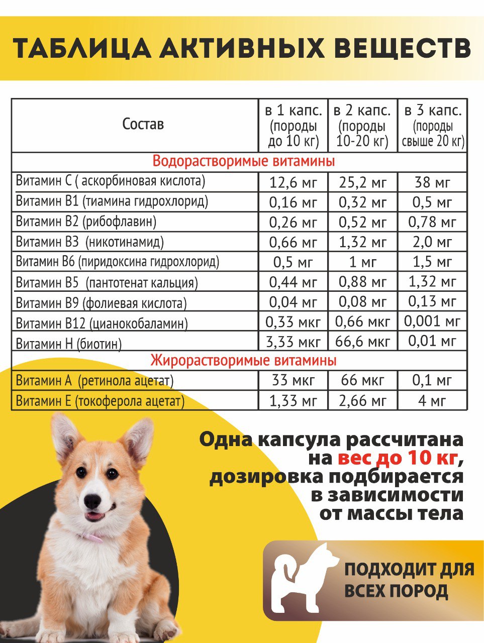Алтайские традиции, Витаминный комплекс для собак «Блестящая шерсть», капсулы, 60 шт.
