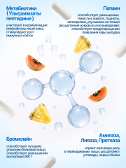 Green Leaf Formula, Метабиотик для кишечника + L-карнитин + ферменты, капсулы, 60 шт.
