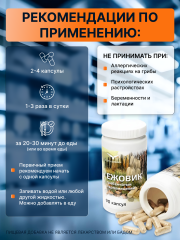 Сила феникса, Ежовик гребенчатый, капсулы, 90 шт.