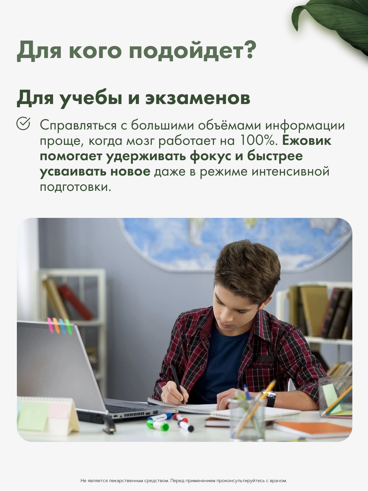 Restartbio, Ежовик гребенчатый, капсулы, 90 шт.