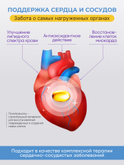 Солагифт, Bioeffectives Abieprenols 10 (для защиты печени, сердца и мозга), капсулы, 60 шт.
