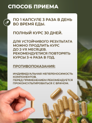 Сила феникса, Исландский мох, капсулы, 90 шт.