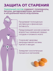 Солагифт, 3F THREE FORCE (анти-эйдж комплекс), растительные капсулы, 30 шт.
