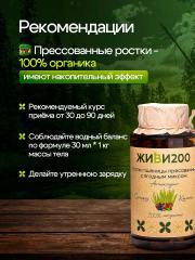 Живи200, Витграсс с сушеными ягодами (детокс, поддержка иммунитета), таблетки, 300 шт.