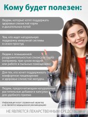 Алтай Простые решения, Концентрат «Исландский мох», капсулы, 60 шт.