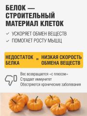 Yappi, Тыквенная клетчатка, порошок, 500 г