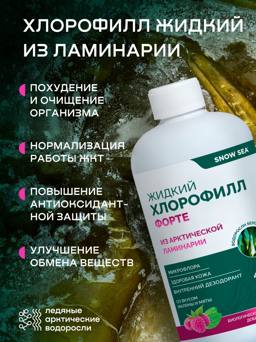SNOW SEA®, Хлорофилл жидкий со вкусом мяты и малины (для детокса и похудения), жидкость, 450 мл