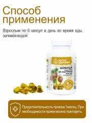 Алтай Простые решения, Живица кедровая 12,5% на кедровом масле, капсулы, 150 шт.
