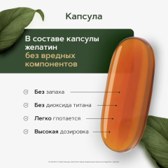 Restartbio, Лецитин (подсолнечный), капсулы, 90 шт.
