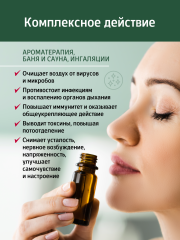 Солагифт, Комплекс масляно-эфирный пихты сибирской, жидкость, 30 мл