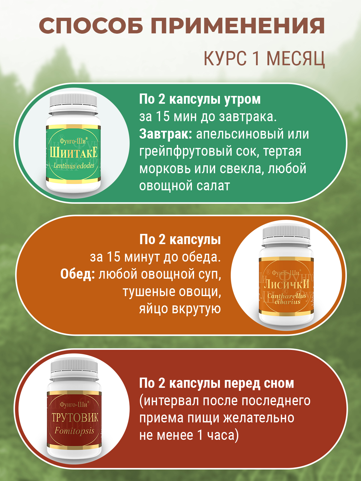 Фунго-Ши, Программа «Акура» для очищения печени, избавления от паразитов, токсинов и ядов, капсулы, 3*60 шт.