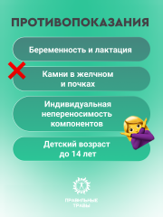 Правильные травы, Антипаразитарный сбор, саше, 10*10 г