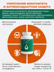 Солагифт, Bioeffectives A320 (для укрепления иммунитета и профилактики заболеваний системы пищеварения), капсулы, 60 шт.