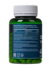 MORELET, Экстракт трепанга Дальневосточного с цинком, растительные капсулы, 60 шт.
