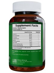 NDCG, Gallbladder Formula (для желчного пузыря), капсулы, 90 шт.