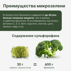 Restartbio, Порошок микрозелени брокколи органический, 90 г