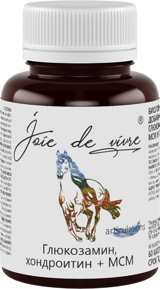 Joie de vivre, Комплекс глюкозамин, хондроитин + МСМ, капсулы, 60 шт.