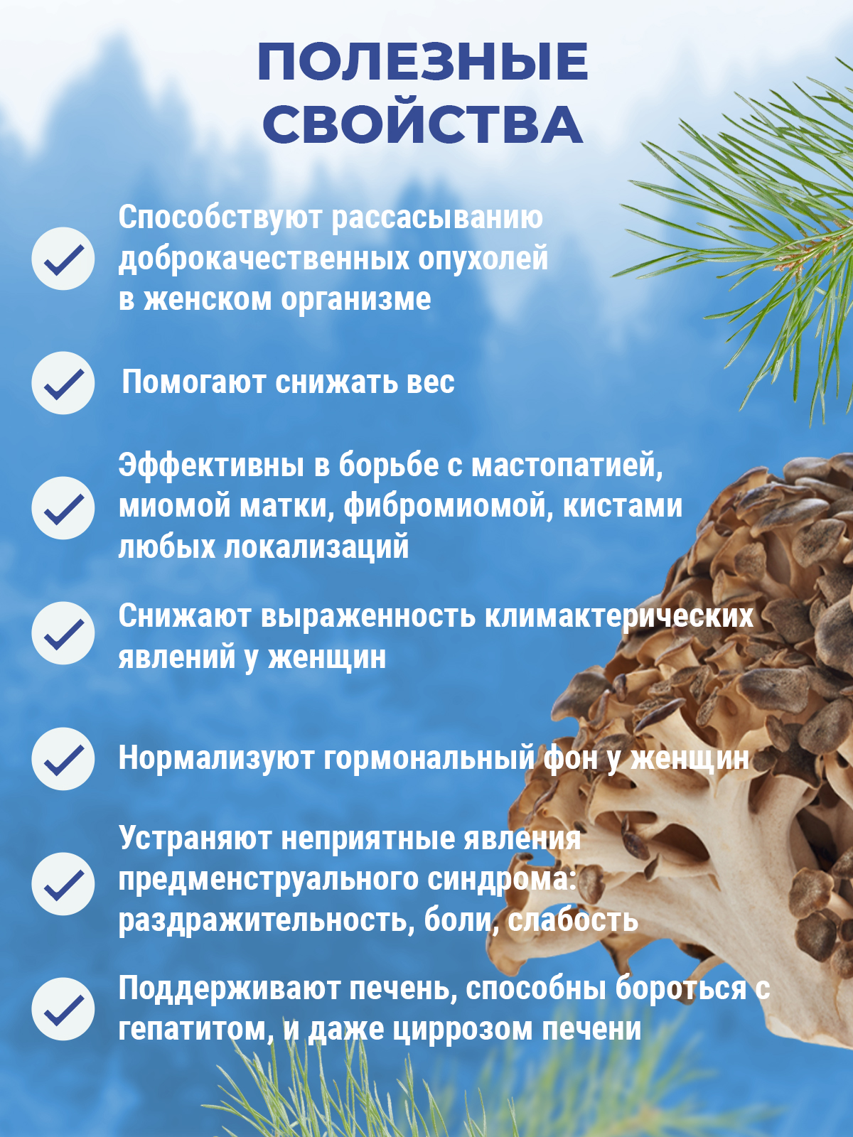 Prodex, Свечи ректальные «Фунго-Ши Мейтаке», 10 шт.